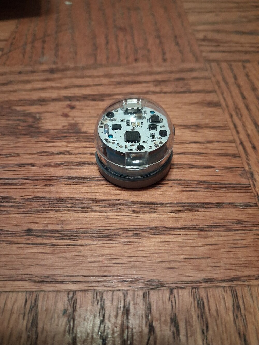 Ozobot- Used - Picture 3 of 3